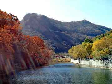 伊春疫區(qū)最新動態(tài)更新，今日關鍵消息匯總