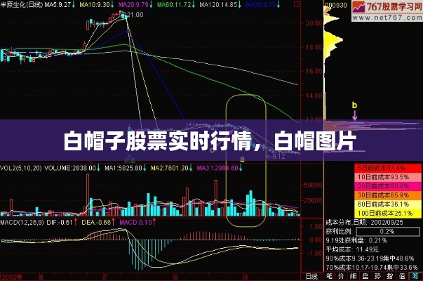 白帽子股票實時行情，白帽圖片 