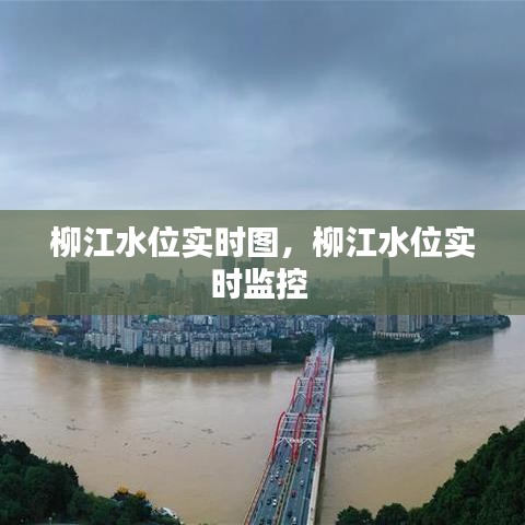柳江水位實時圖，柳江水位實時監(jiān)控 