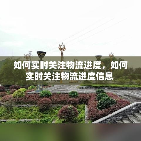 如何實時關注物流進度，如何實時關注物流進度信息 