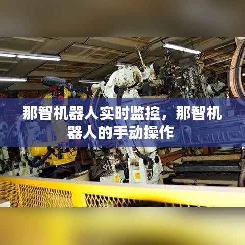 那智機(jī)器人實(shí)時(shí)監(jiān)控，那智機(jī)器人的手動(dòng)操作 