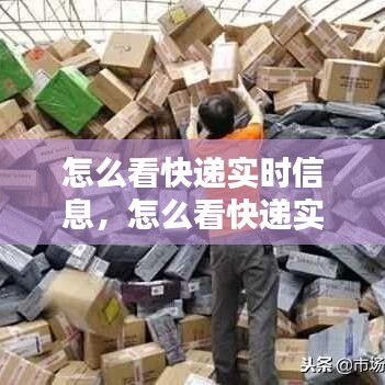 怎么看快遞實時信息，怎么看快遞實時動態(tài) 