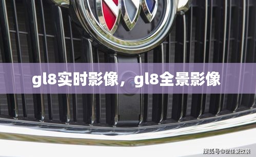 gl8實(shí)時影像，gl8全景影像 