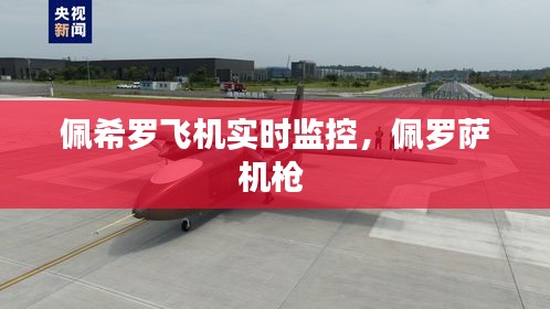 佩希羅飛機(jī)實時監(jiān)控，佩羅薩機(jī)槍 