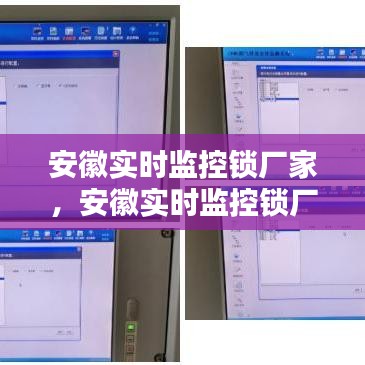 安徽實(shí)時(shí)監(jiān)控鎖廠家，安徽實(shí)時(shí)監(jiān)控鎖廠家有哪些 