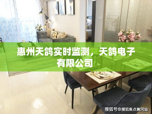 惠州天鴿實(shí)時(shí)監(jiān)測(cè)，天鴿電子有限公司 