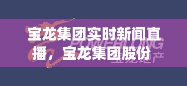 寶龍集團(tuán)實(shí)時(shí)新聞直播，寶龍集團(tuán)股份 