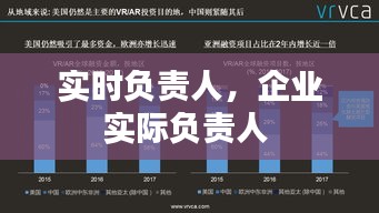 實時負責人，企業(yè)實際負責人 