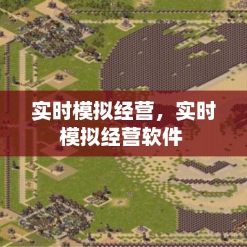 實(shí)時(shí)模擬經(jīng)營(yíng)，實(shí)時(shí)模擬經(jīng)營(yíng)軟件 