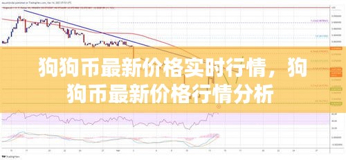 狗狗幣最新價格實時行情，狗狗幣最新價格行情分析 