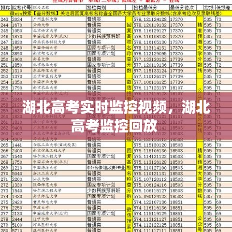 湖北高考實時監(jiān)控視頻，湖北高考監(jiān)控回放 