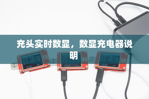 充頭實時數(shù)顯，數(shù)顯充電器說明 