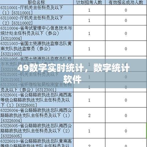 49數(shù)字實(shí)時(shí)統(tǒng)計(jì)，數(shù)字統(tǒng)計(jì)軟件 