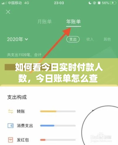 如何看今日實(shí)時(shí)付款人數(shù)，今日賬單怎么查 