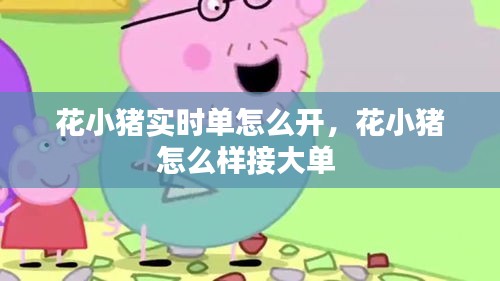 花小豬實(shí)時(shí)單怎么開，花小豬怎么樣接大單 