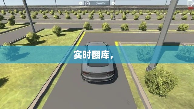 實(shí)時(shí)翻庫(kù)， 