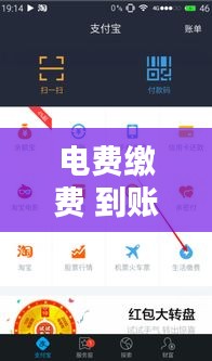 電費(fèi)繳費(fèi) 到賬實(shí)時(shí)，電費(fèi)繳費(fèi) 到賬實(shí)時(shí)到賬 