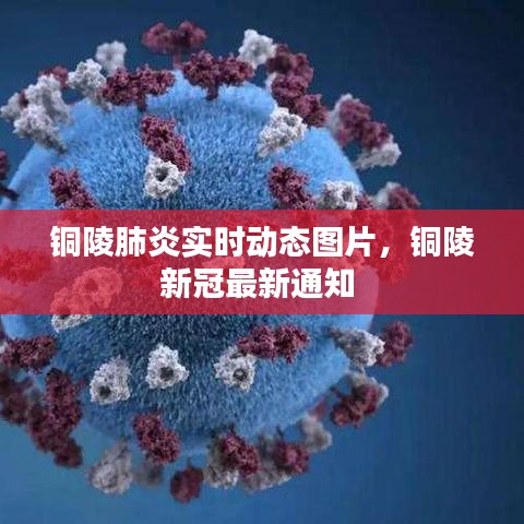 銅陵肺炎實時動態(tài)圖片，銅陵新冠最新通知 