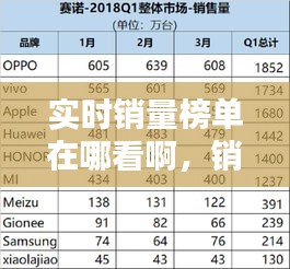 實時銷量榜單在哪看啊，銷量記錄 