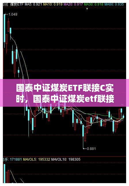 國泰中證煤炭ETF聯(lián)接C實(shí)時(shí)，國泰中證煤炭etf聯(lián)接c基金 