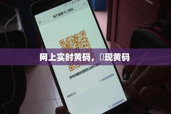 網(wǎng)上實(shí)時(shí)黃碼，岀現(xiàn)黃碼 