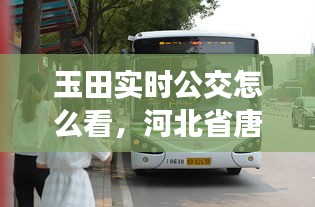 玉田實時公交怎么看，河北省唐山市玉田縣公交車 