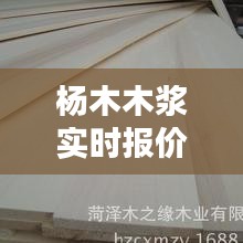 楊木木漿實(shí)時(shí)報(bào)價(jià)，楊木漿制作工藝 
