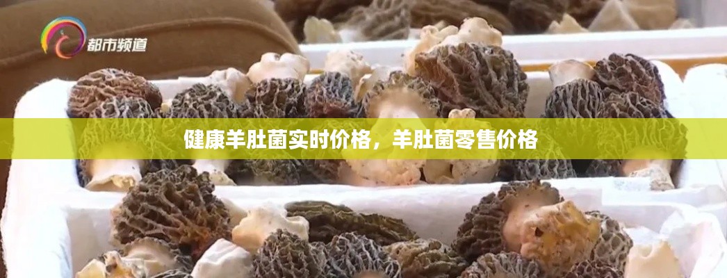 健康羊肚菌實(shí)時(shí)價(jià)格，羊肚菌零售價(jià)格 