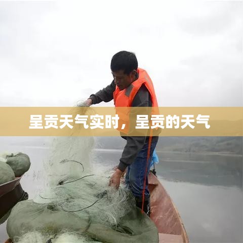 呈貢天氣實(shí)時(shí)，呈貢的天氣 