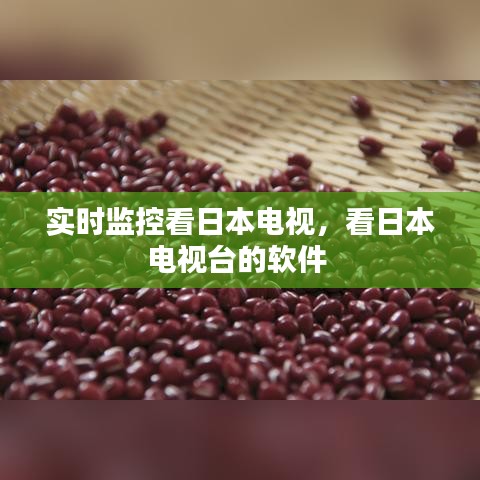 實(shí)時(shí)監(jiān)控看日本電視，看日本電視臺(tái)的軟件 