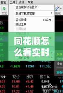 同花順怎么看實(shí)時(shí)動(dòng)態(tài)，同花順怎么看ene 
