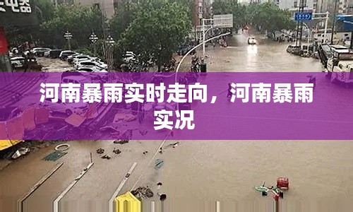 河南暴雨實(shí)時(shí)走向，河南暴雨實(shí)況 