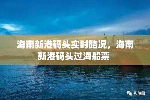 海南新港碼頭實(shí)時(shí)路況，海南新港碼頭過海船票 