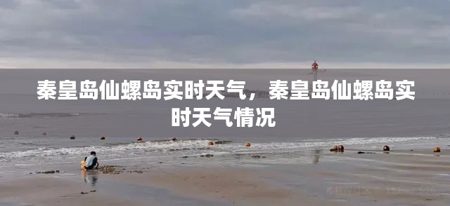 衣無二彩 第2頁