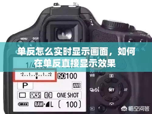 單反怎么實時顯示畫面，如何在單反直接顯示效果 