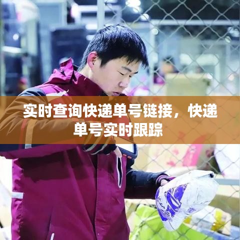實時查詢快遞單號鏈接，快遞單號實時跟蹤 
