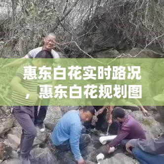惠東白花實時路況，惠東白花規(guī)劃圖 