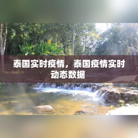 泰國(guó)實(shí)時(shí)疫情，泰國(guó)疫情實(shí)時(shí)動(dòng)態(tài)數(shù)據(jù) 