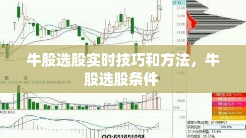 牛股選股實(shí)時(shí)技巧和方法，牛股選股條件 