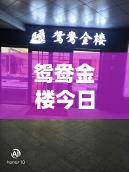鴛鴦金樓今日實時金價，鴛鴦金樓金店 