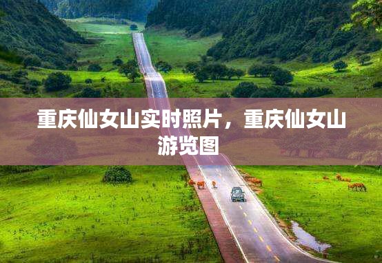 重慶仙女山實(shí)時(shí)照片，重慶仙女山游覽圖 