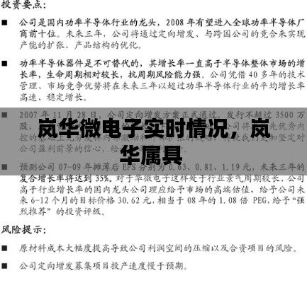 嵐華微電子實時情況，嵐華屬具 