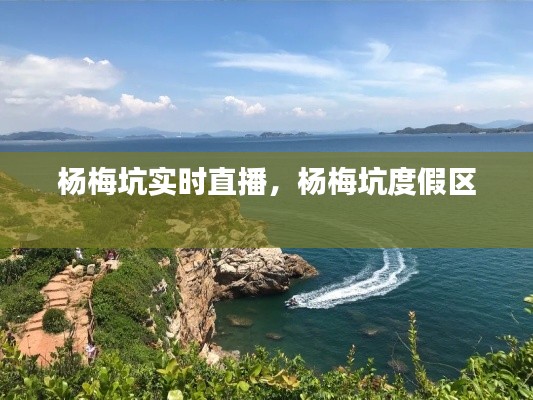 楊梅坑實(shí)時(shí)直播，楊梅坑度假區(qū) 