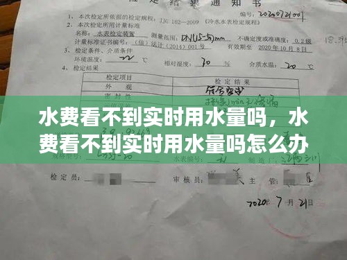 水費看不到實時用水量嗎，水費看不到實時用水量嗎怎么辦 