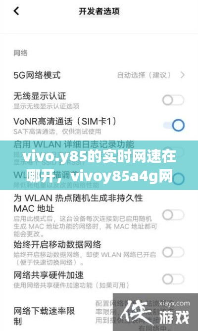 vivo.y85的實(shí)時(shí)網(wǎng)速在哪開，vivoy85a4g網(wǎng)絡(luò)哪里設(shè)置 