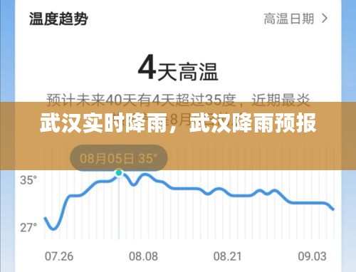 武漢實(shí)時(shí)降雨，武漢降雨預(yù)報(bào) 