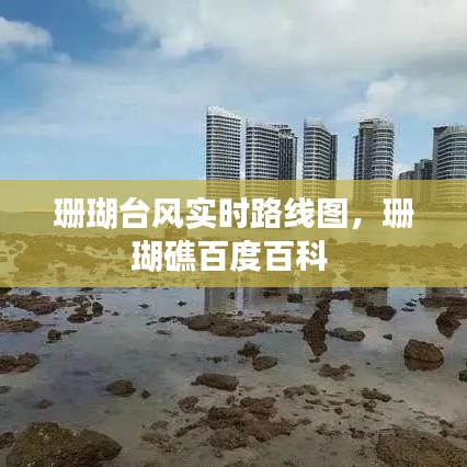 珊瑚臺(tái)風(fēng)實(shí)時(shí)路線圖，珊瑚礁百度百科 