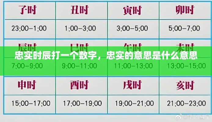 忠實(shí)時(shí)辰打一個(gè)數(shù)字，忠實(shí)的意思是什么意思 