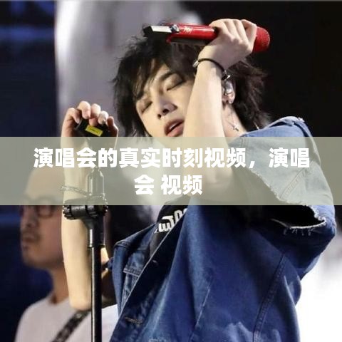 演唱會(huì)的真實(shí)時(shí)刻視頻，演唱會(huì) 視頻 