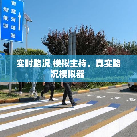 實時路況 模擬主持，真實路況模擬器 